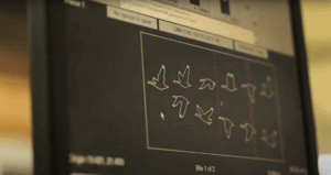 A digital mock up of the mat's design on a computer